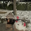 룰루랄라 이미지