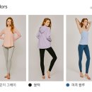 배럴핏 네이버블로그