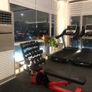 다올피티 이미지