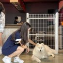 겨울이 머무는 집 이미지