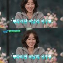 다이아랩 이미지