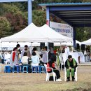 24/10/27 수원교구 광주성당 66주년 한마음운동회 [Ⅱ] - 천진암성지 이미지