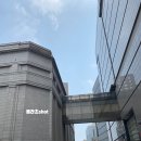 백화점 본점 맛집 본관 5층 식당가 조선호텔 중식당 호경전 짬뽕 짜장면 후기 + 우리은행 본점 주차 팁