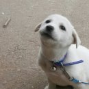 팔봉농장 이미지