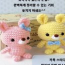 와카메센세