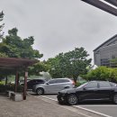 평화로운세상 티스토리
