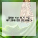 멋쟁이 세탁 이미지