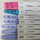 백비뇨기과의원 | [ 전주새댁 난임일기 01 ] 첫번째 난임일기 시작이자 끝