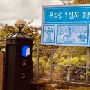 북악스카이웨이 길에서 만난 숲속 정원 빵공장, ‘부암동 7번지 제빵소’ 리얼, 팩트체크