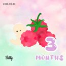 수니호 | M_Daily. 5월 네번째 - 임신 7주 :: 청첩장모임들과 팔다리 생김