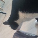 삼계면주민자치센터 이미지