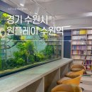 원플레이 수원역, 친구들과 함께하는 완벽한 데이트 코스