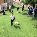 미용농장 이미지