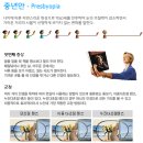 대명안경콘택트 이미지