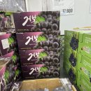 이마트트레이더스 수원점 | 🛒수원 이마트 트레이더스 스타필드점 쇼핑 후기 [내돈내산 추천템]