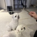 홍이삼이네 이미지