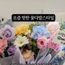 sunny+(써니플러스) 이미지