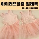 여아 발레복 추천, &#39;아이러브플럼&#39; 발레복 구매 후기(가격&amp;장단점)