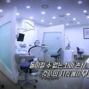 치과의사 Daum카페