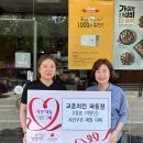 교촌치킨파동점 한국공보뉴스