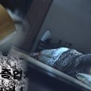 노파도 티브이데일리