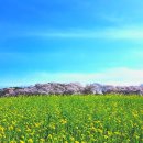 사랑으로 마시는 커피 한 잔 이미지
