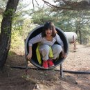 하양여자중학교 이미지