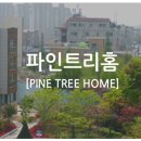 국내 아동 후원 기관: 파인트리 홈 이미지