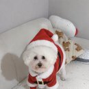 부곡목욕탕 이미지