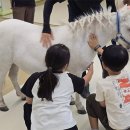 비옥상회 이미지