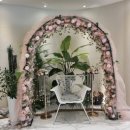 센트럴파이온 이미지