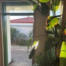 미영농장 이미지