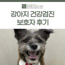 한울 AHC동물병원 | 강아지 건강검진 보호자 후기 [대구동물건강검진센터/본동물건강검진영상센터]