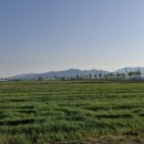 변산농장2 이미지