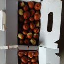 K-MAN 남해 킹코스 이미지