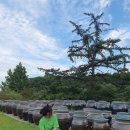 장독민박 이미지