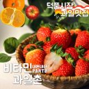 대목장 | 덕풍시장 과일맛집 설날 선물세트 비타민과일촌 에서 내돈내산 구매후기 그리고 설대목장 환급행사 정보