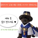 올치까까 네이버블로그