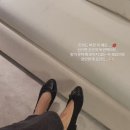벨라리본(BELLA RIBBON) 네이버블로그