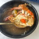 팔도맛집 | [남해군] “팔도맛집”, 해장하러 해물탕 먹으러 가야죠?!