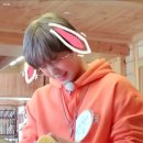 워너원 솜뭉치 사진 정리 2 - 코코아옹 &amp; 밀키윙 등장!!! (~2019.05월)