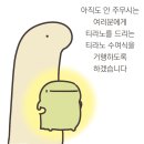 양배추 달아요, 양배추 드려요?
