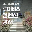 대한홍삼서울강서점 | 루이비스 컨벤션 강서점 서울 신상 웨딩홀 하객 후기