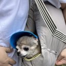 니멍내멍 이미지