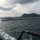 뉴국제횟집 - 7507 | 뉴국제횟집