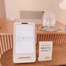 애견부티크 이미지