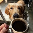 대구 남구 대구교대 카페 예쓰커피플리즈 애견카페 제프와 놀기