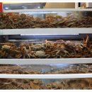 생생맛집 이미지