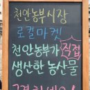 굼앤머쉬 네이버블로그