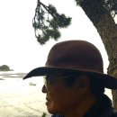 제121차 완도 난대수목원 명품 외곽 내곽 둘레길탐방 이미지